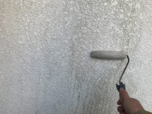 外壁にバイオ洗浄剤を塗布していきます。