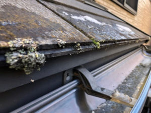 苔・藻が繁殖しています。含水による屋根材自身の劣化、また野地板の腐朽の原因に繋がります。