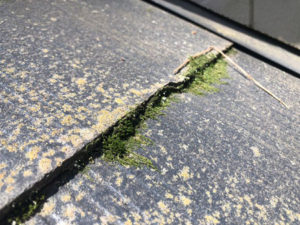苔・藻・カビが繁殖しています。含水による屋根材自身の劣化、また野地板の腐朽の原因に繋がります。