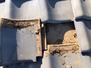 瓦の重なり部分に土埃が堆積していました。排水性が悪くなったり、土が水を吸い上げる事で漏水の原因になる事があるため注意が必要な箇所になります。