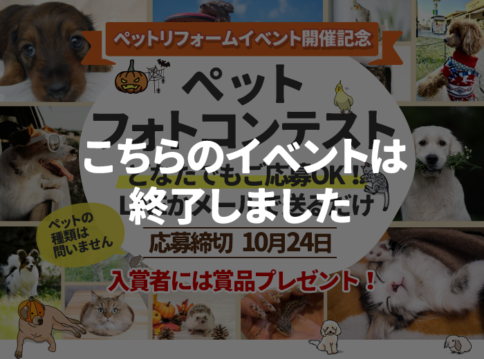 （応募締切）ペットフォトコンテスト開催！うちの子自慢で賞品ゲット